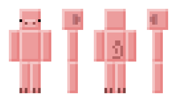 Minecraft skin Zeme