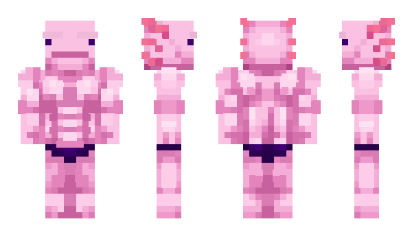 Minecraft skin ddebuga