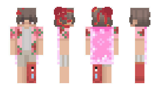 Minecraft skin pixlaries