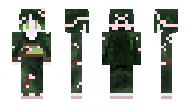 Minecraft skin NewWords