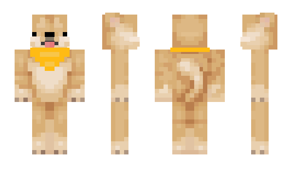 Minecraft skin 13ao