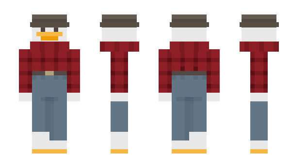 Minecraft skin Reinhrad