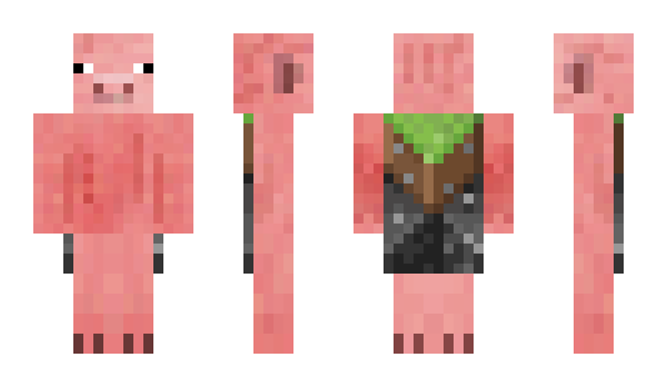 Minecraft skin Beltedsage