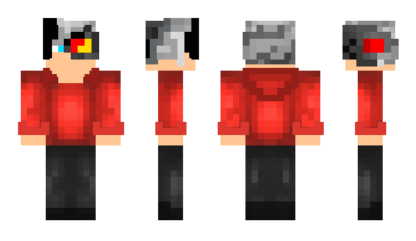 Minecraft skin Robojini