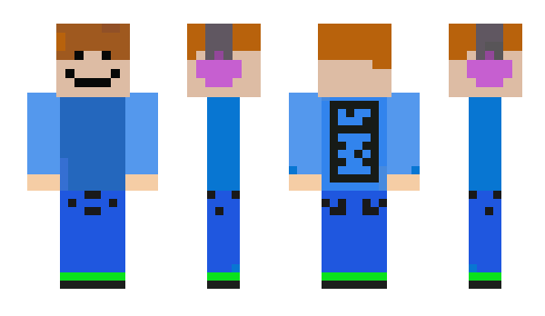 Minecraft skin wizoo