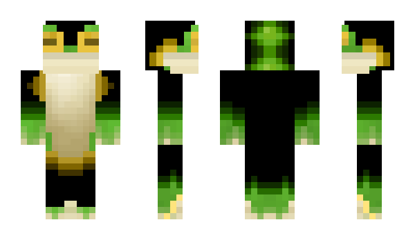 Minecraft skin Blackfrog