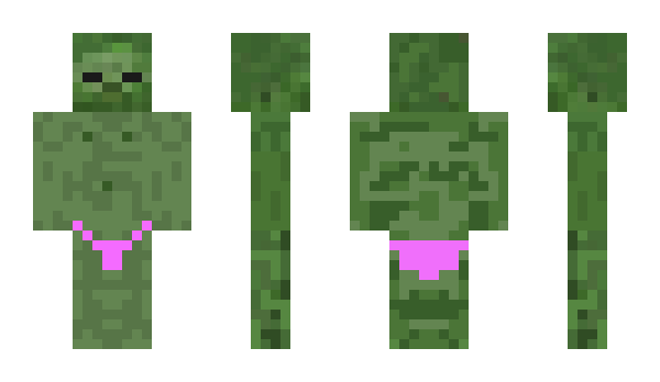 Minecraft skin sinstro