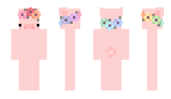 Minecraft скин по нику er7ka