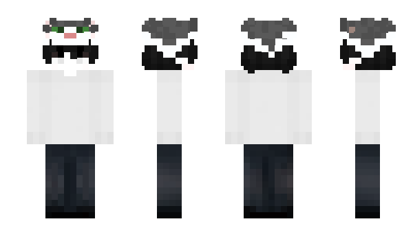 Minecraft skin Albatross