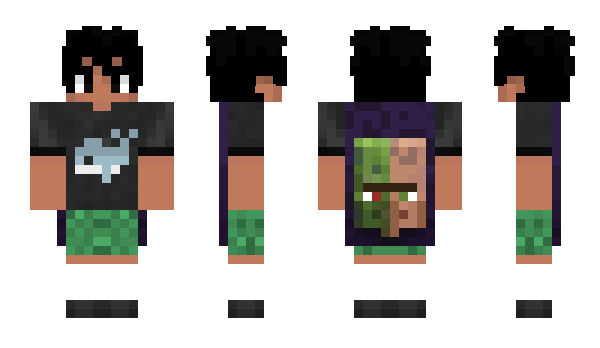 Minecraft skin PajeLindoDemaize