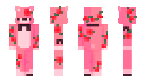 Minecraft skin aixmee