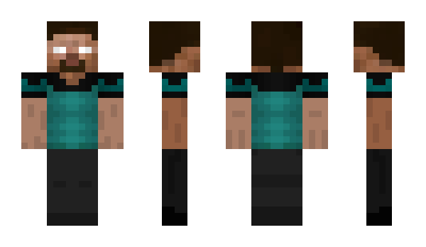Minecraft skin b1tc0in