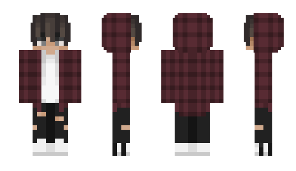 Minecraft skin lil_nisse