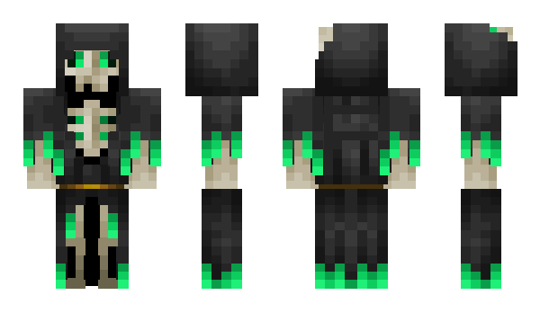 Minecraft skin _fant