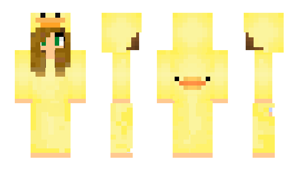 Minecraft skin exceptionql