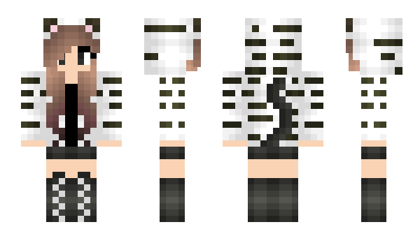 Minecraft skin Nacja