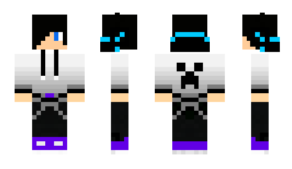 Minecraft skin pollag