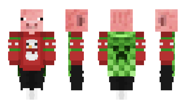 Minecraft skin Piwg