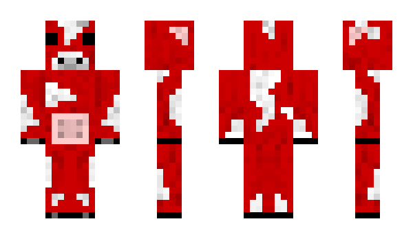 Minecraft skin finbuild