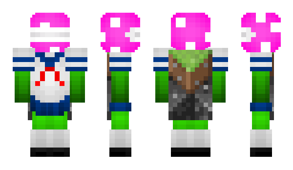 Minecraft skin Time_lord_12