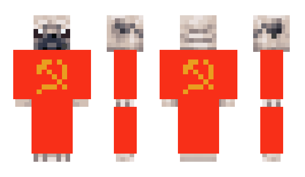 Minecraft skin _patachula_