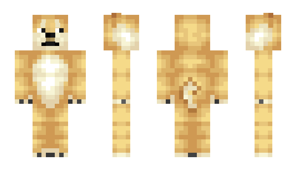 Minecraft skin poohole