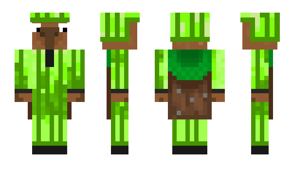 Minecraft skin OwenTL