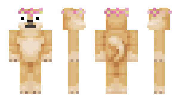 Minecraft skin ayowo