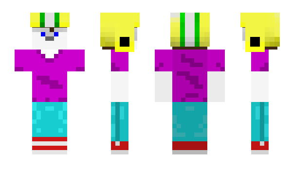 Minecraft skin zerpa