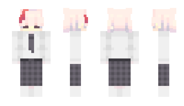 Minecraft skin CamTJ