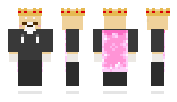 Minecraft skin Dogshome_