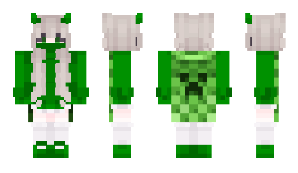 Minecraft skin g011