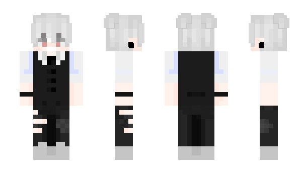 Minecraft skin Vinzo