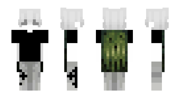 Minecraft скин по нику vaeltin