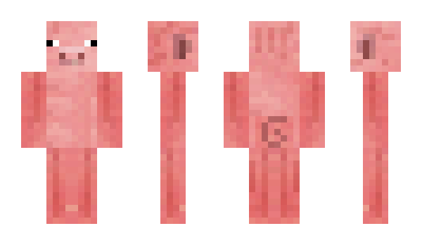 Minecraft skin hamii