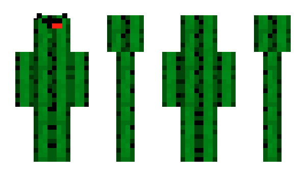 Minecraft skin Bloote