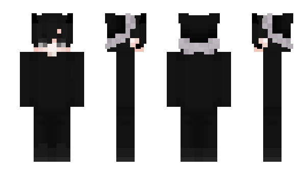 Minecraft skin a5x