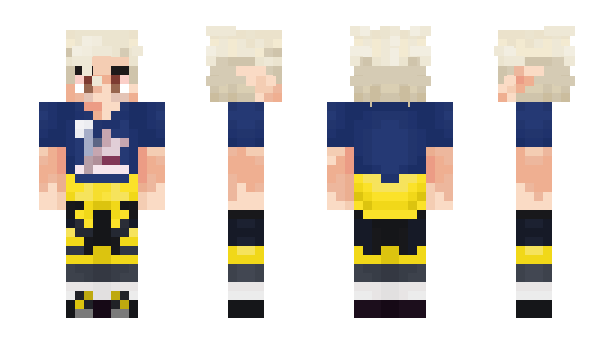 Minecraft skin starry4qu4r1us