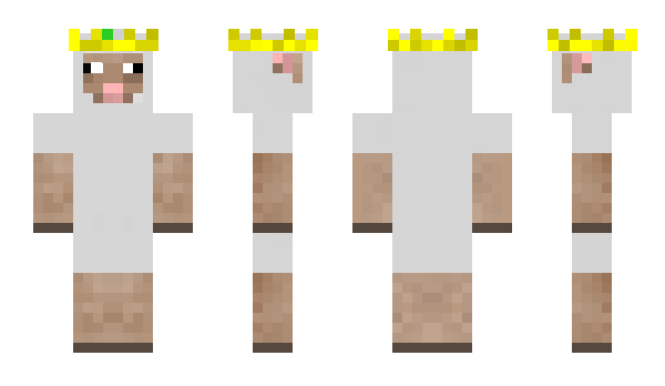 Minecraft skin latajowca