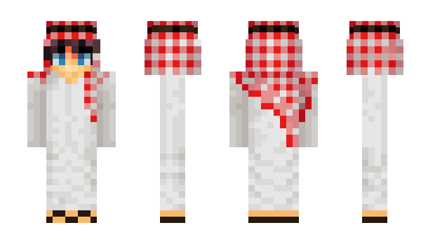 Minecraft skin intel_5