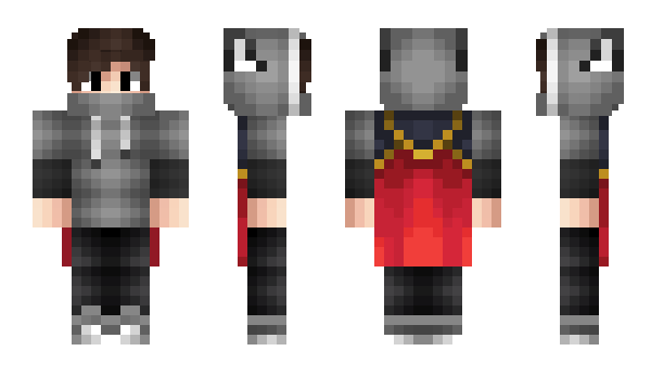 Minecraft skin Toudylord