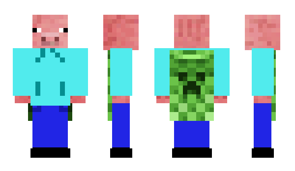 Minecraft skin salmonk5