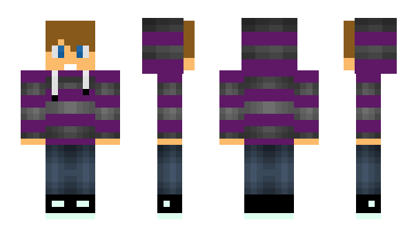 Minecraft skin Elacc