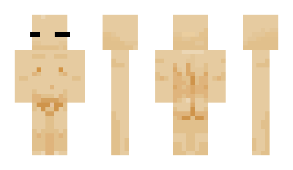 Minecraft skin Gifer