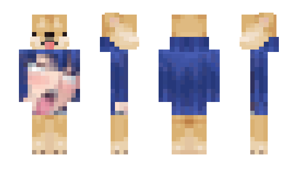 Minecraft skin Dragoi