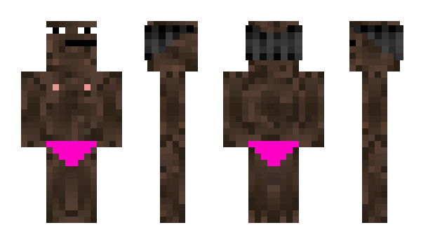 Minecraft skin HaaW