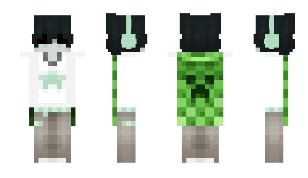 Minecraft skin Lipwix