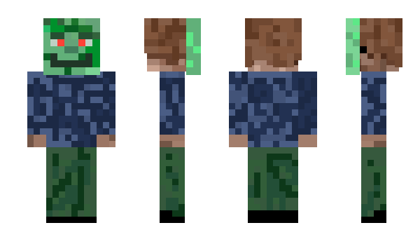Minecraft skin doshlk