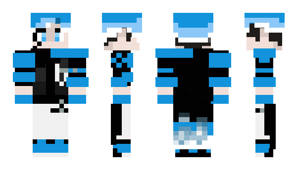 Minecraft skin todome