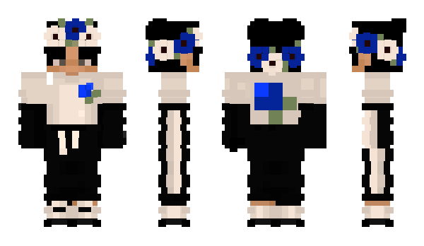 Minecraft skin htpps